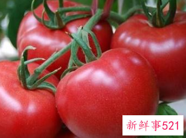 孕妇梦见西红柿熟了是什么意思