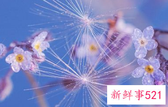 牛年出生的幸运数字