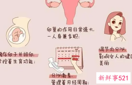 怎样保护卵巢不衰老