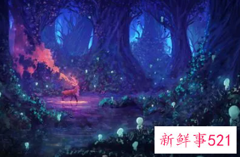 做梦梦到梦幻的场景