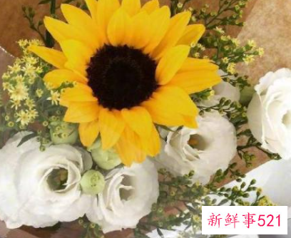 积极向上的励志句子