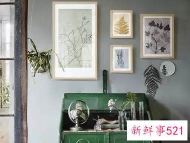 怎么样用植物打造好风水