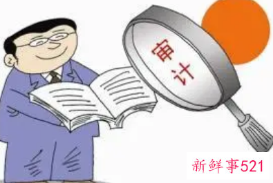 审计工作开展情况汇报