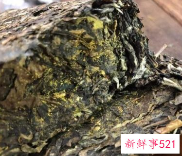 如何辨别白茶砖的好坏