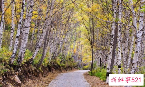 人与人之间如何做到和谐相处