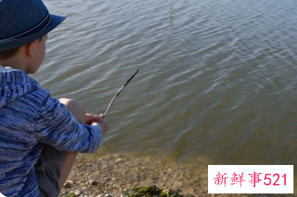 钓鱼的学问和讲究