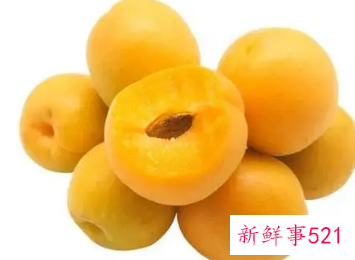 杏的营养与功效与作用