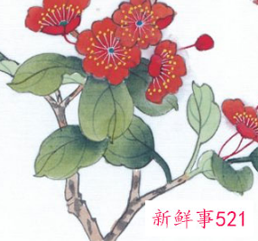 属虎女与属牛男婚配好不好