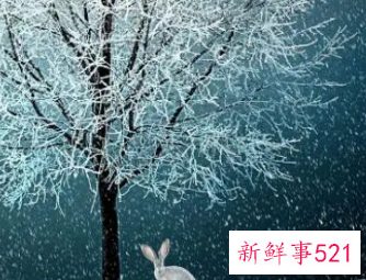 在家过冬的说说