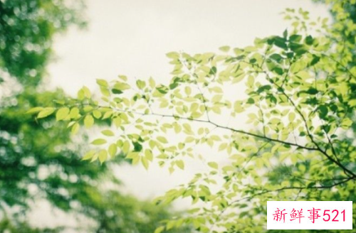 留下一点时间给自己欣赏好风景