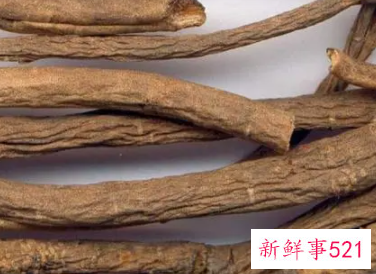 香加皮的功效与作用及禁忌