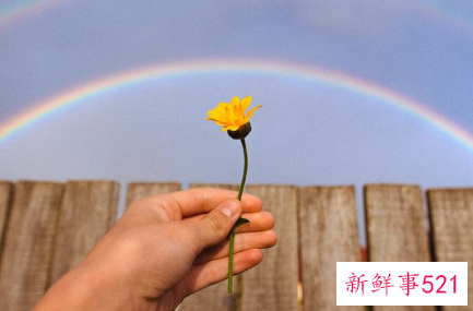 12星座里面哪个星座最厉害