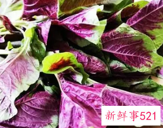 苋菜的功效有什么