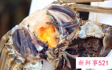 螃蟹不能和哪些食物一起吃