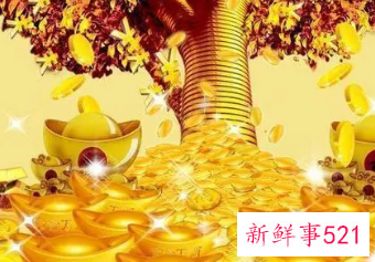 家里进财的风水