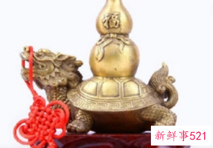 屋里摆什么招财挡灾