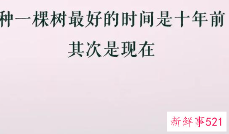 多大孩子适合练字