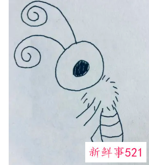 蝴蝶的翅膀花纹怎么画