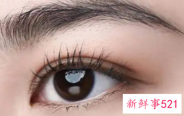 怎么夹睫毛比较翘