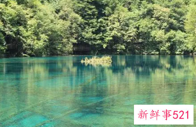 梦见女尸在水里是什么意思