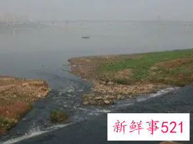 梦见江水是什么征兆