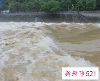 梦见水涨潮寓意