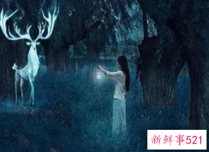 梦见秘密有什么征兆