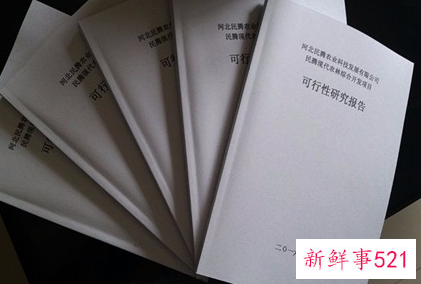 可行性研究报告书大全范文
