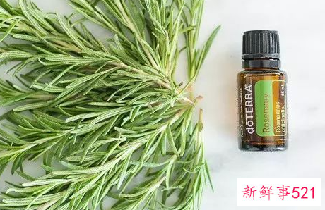 植物精油的功效