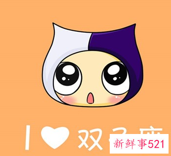 12星座专属花语