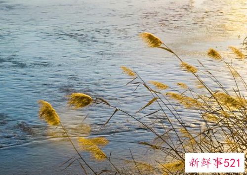 惹女朋友生气了怎么挽回