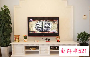 客厅电视柜两边适合摆放什么植物