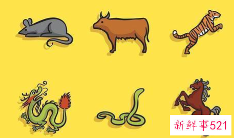 猫来家中有什么预兆