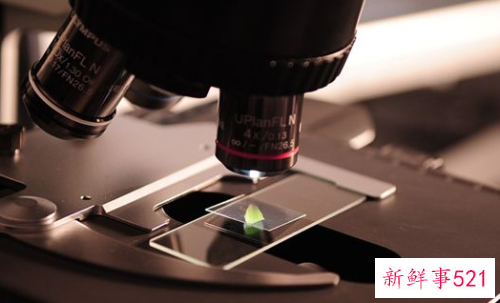 梦见实验室有什么征兆