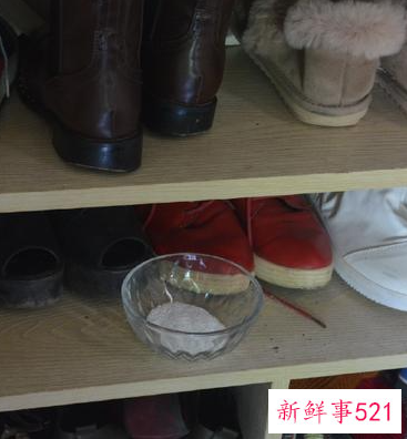 屋里潮湿有霉味怎么去除