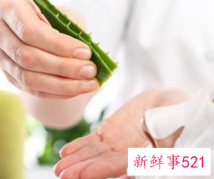 芦荟有什么功效作用