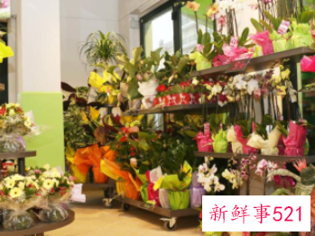 适合女生开的十五种店