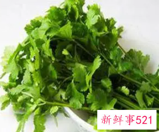 十香菜的功效与作用禁忌