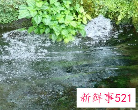 女人梦见水是财吗