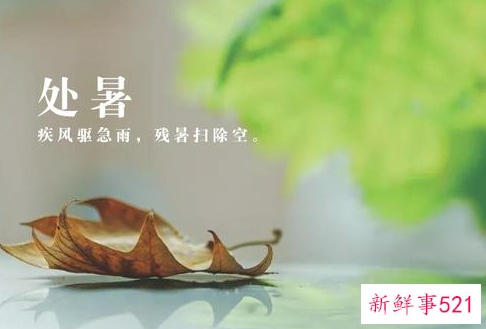 处暑诗词有哪些