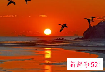 梦见初升的太阳又红又圆