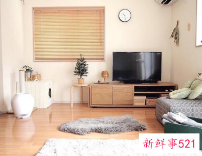 梦见家里很干净