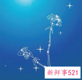 双鱼座的领导有哪些
