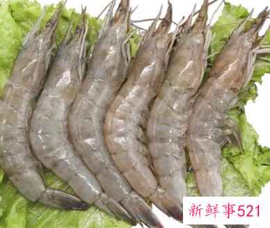 中草药石上虾功效及作用