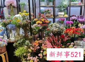 女孩3万元适合开什么店