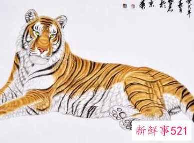 猛虎下山的寓意和象征