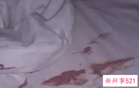 怎么洗被子上的大姨妈