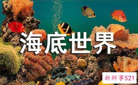 幼儿园大班美术教案：海底世界