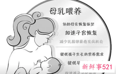 母乳的作用和功效