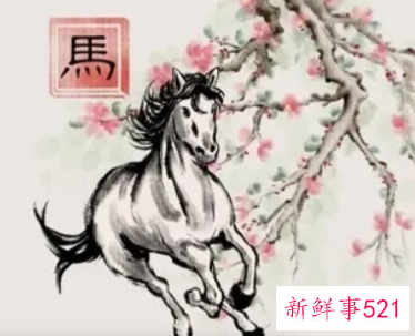 2022年属马人全年财运